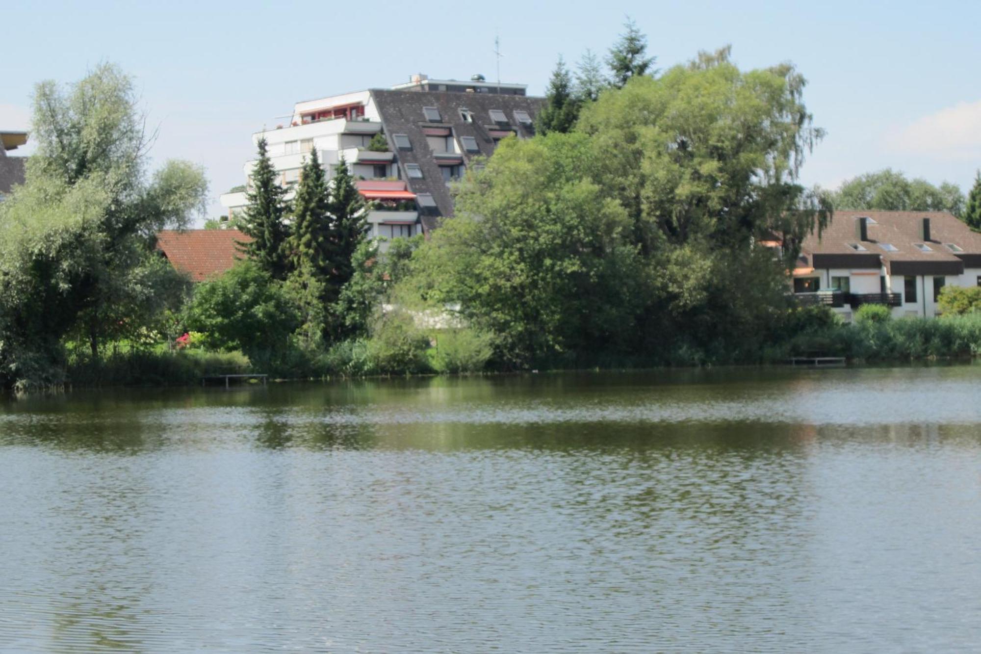 Ferienwohnung Am Weiher Meersburg Εξωτερικό φωτογραφία